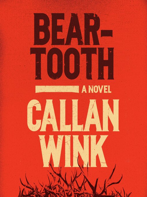 Title details for Beartooth by Callan Wink - Wait list